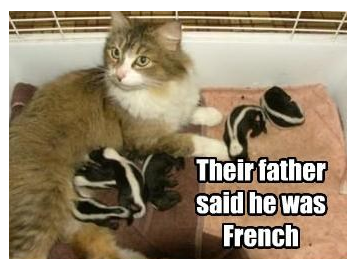 Their father said he was French.png