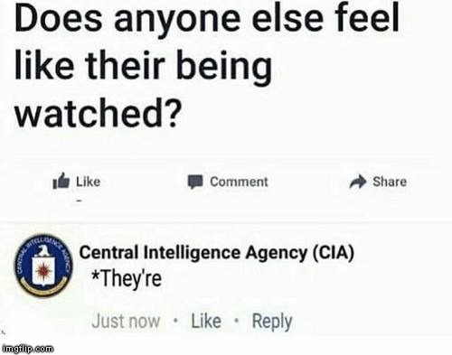 beingwatched.jpg